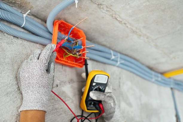 Best Electric Panel Repair  in Woodhaven, MI